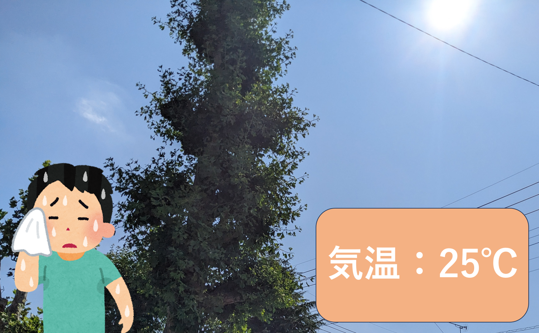 da3b6c9355122961041d30dc8c50193b-1782703030.png
